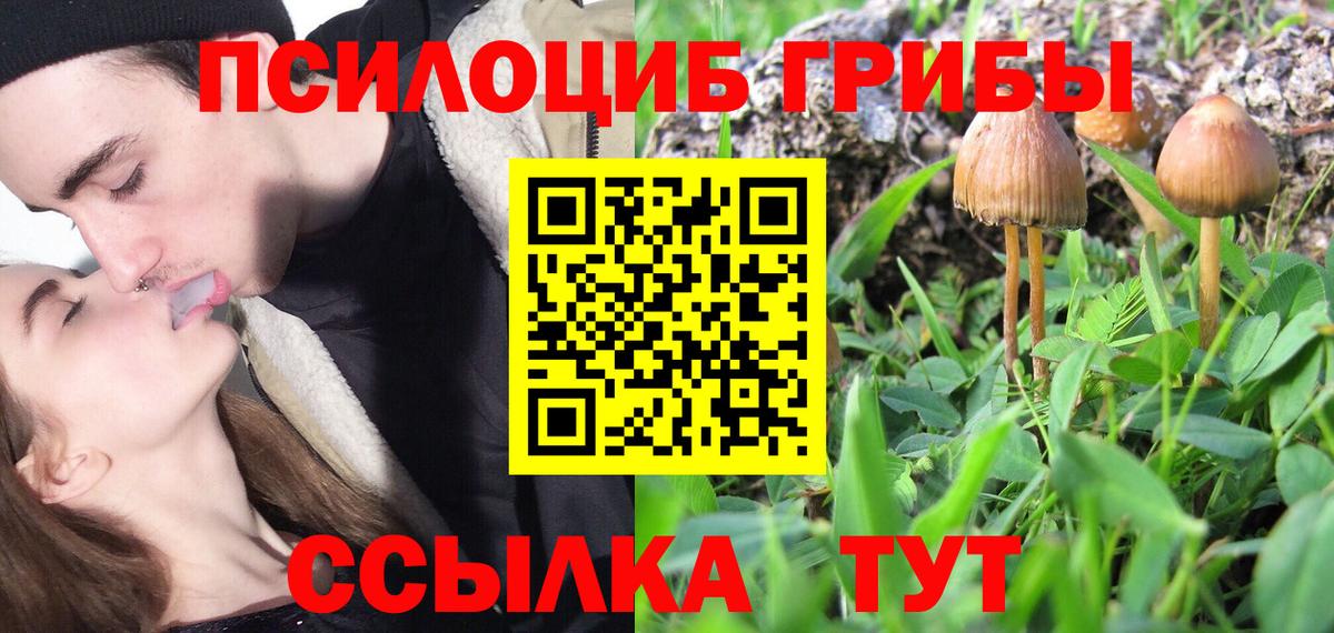 Галлюциногенные грибы MAGIC MUSHROOMS  Псилоцибиновые грибы прущие грибы  Озёрск  купить наркоту  Вход с VPN 